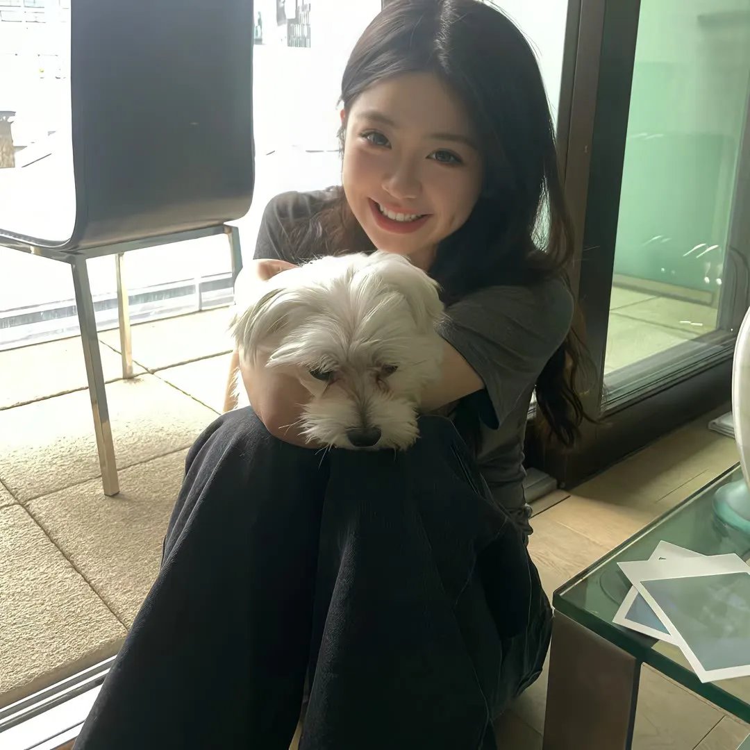 灵犬雪莉2：冒险再出发 在线观看封面