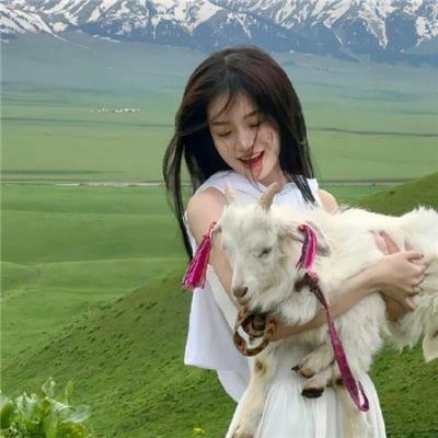 梦想成真粤语 在线观看封面